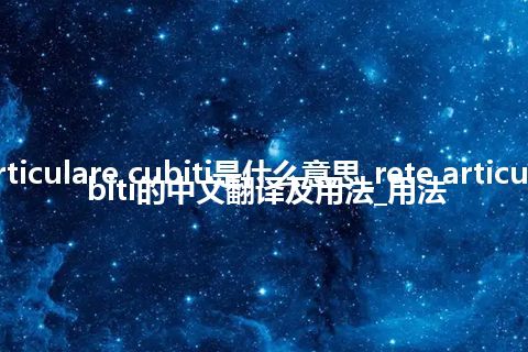 rete articulare cubiti是什么意思_rete articulare cubiti的中文翻译及用法_用法