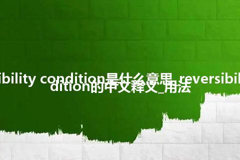 reversibility condition是什么意思_reversibility condition的中文释义_用法