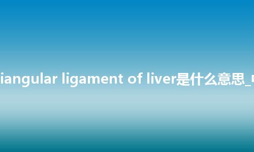 right triangular ligament of liver是什么意思_中文意思