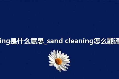 sand cleaning是什么意思_sand cleaning怎么翻译及发音_用法
