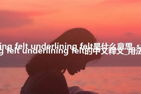 sarking felt underlining felt是什么意思_sarking felt underlining felt的中文释义_用法
