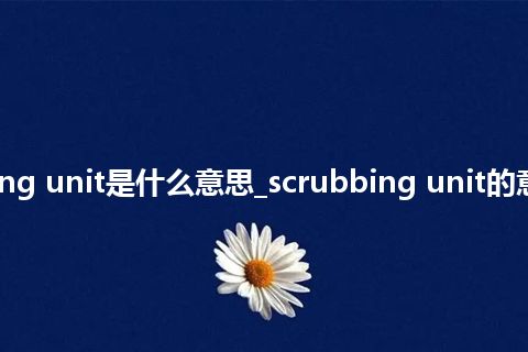 scrubbing unit是什么意思_scrubbing unit的意思_用法