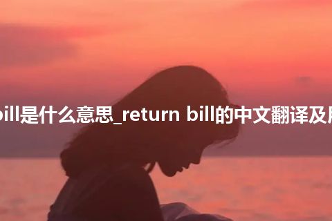 return bill是什么意思_return bill的中文翻译及用法_用法
