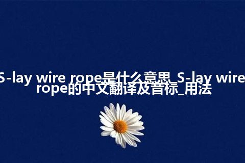 S-lay wire rope是什么意思_S-lay wire rope的中文翻译及音标_用法