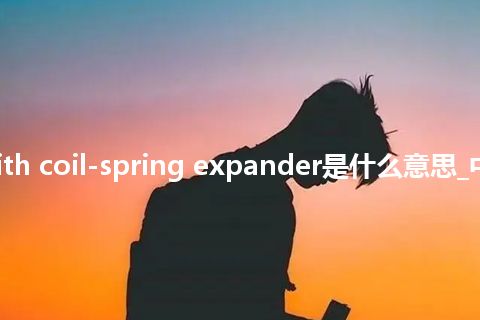 ring with coil-spring expander是什么意思_中文意思