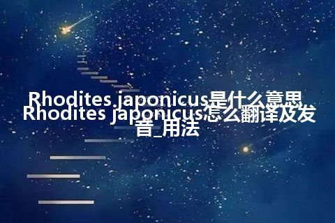 Rhodites japonicus是什么意思_Rhodites japonicus怎么翻译及发音_用法
