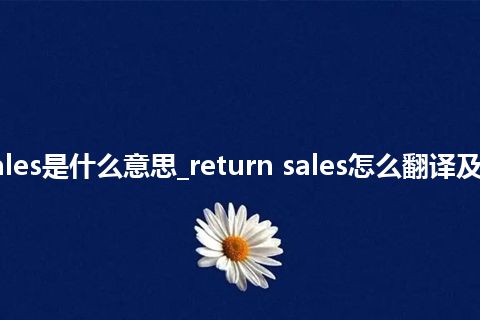 return sales是什么意思_return sales怎么翻译及发音_用法