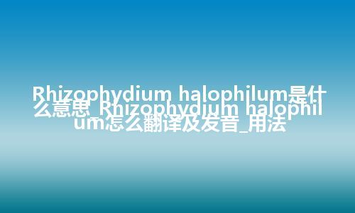 Rhizophydium halophilum是什么意思_Rhizophydium halophilum怎么翻译及发音_用法