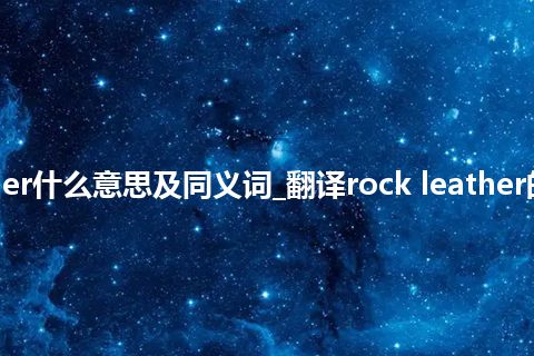 rock leather什么意思及同义词_翻译rock leather的意思_用法