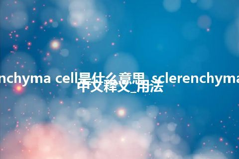 sclerenchyma cell是什么意思_sclerenchyma cell的中文释义_用法