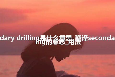 secondary drilling是什么意思_翻译secondary drilling的意思_用法