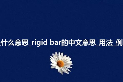 rigid bar是什么意思_rigid bar的中文意思_用法_例句_英语短语