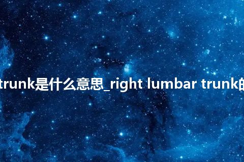 right lumbar trunk是什么意思_right lumbar trunk的中文释义_用法