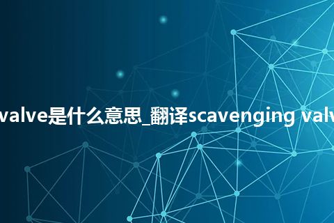 scavenging valve是什么意思_翻译scavenging valve的意思_用法