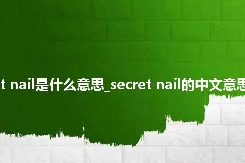 secret nail是什么意思_secret nail的中文意思_用法
