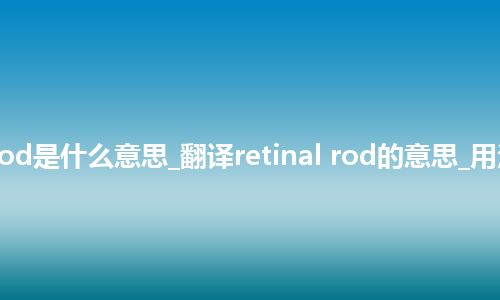 retinal rod是什么意思_翻译retinal rod的意思_用法_同义词