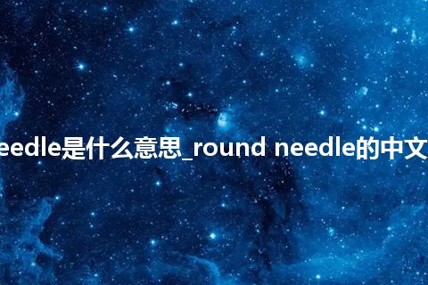 round needle是什么意思_round needle的中文释义_用法