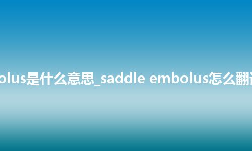 saddle embolus是什么意思_saddle embolus怎么翻译及发音_用法