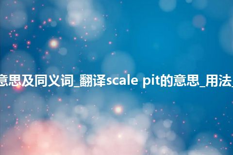 scale pit什么意思及同义词_翻译scale pit的意思_用法_例句_英语短语
