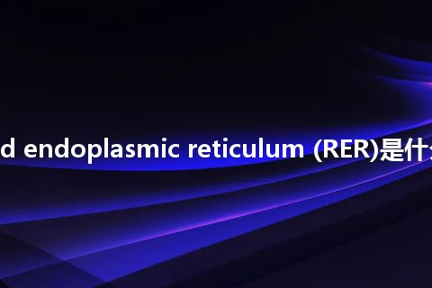 rough surfaced endoplasmic reticulum (RER)是什么意思_中文意思