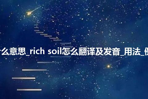 rich soil是什么意思_rich soil怎么翻译及发音_用法_例句_英语短语