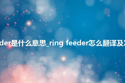 ring feeder是什么意思_ring feeder怎么翻译及发音_用法