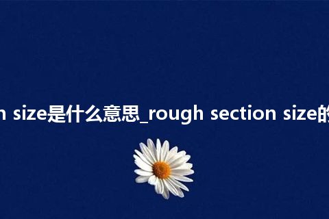 rough section size是什么意思_rough section size的中文意思_用法