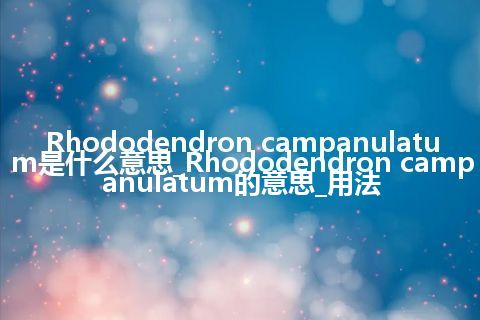 Rhododendron campanulatum是什么意思_Rhododendron campanulatum的意思_用法