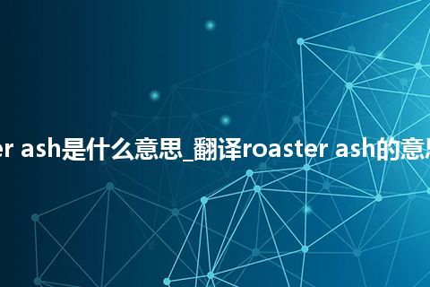 roaster ash是什么意思_翻译roaster ash的意思_用法