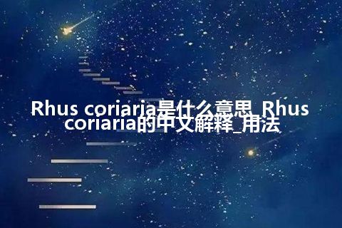 Rhus coriaria是什么意思_Rhus coriaria的中文解释_用法