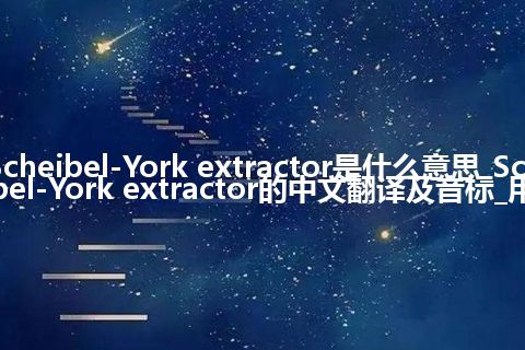 Scheibel-York extractor是什么意思_Scheibel-York extractor的中文翻译及音标_用法