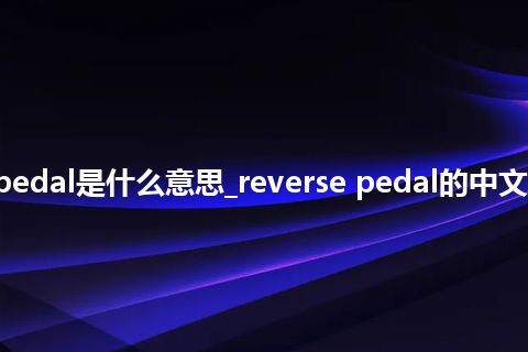 reverse pedal是什么意思_reverse pedal的中文释义_用法