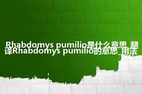 Rhabdomys pumilio是什么意思_翻译Rhabdomys pumilio的意思_用法