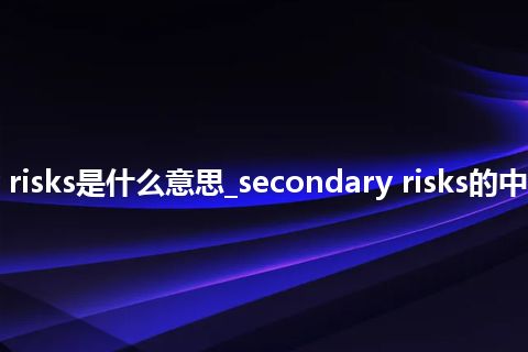 secondary risks是什么意思_secondary risks的中文意思_用法