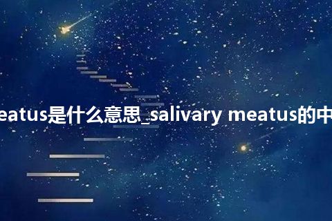 salivary meatus是什么意思_salivary meatus的中文释义_用法