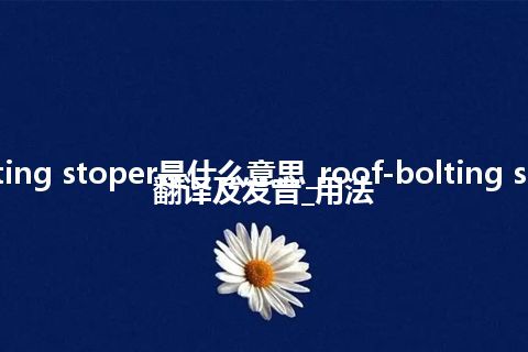 roof-bolting stoper是什么意思_roof-bolting stoper怎么翻译及发音_用法