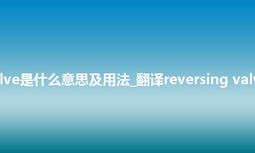 reversing valve是什么意思及用法_翻译reversing valve的意思_用法