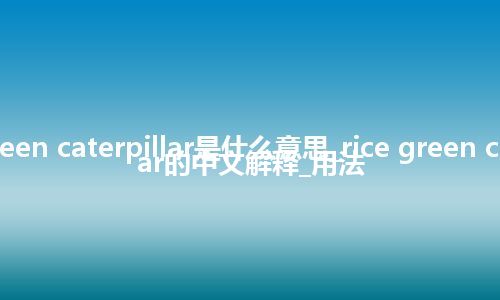 rice green caterpillar是什么意思_rice green caterpillar的中文解释_用法