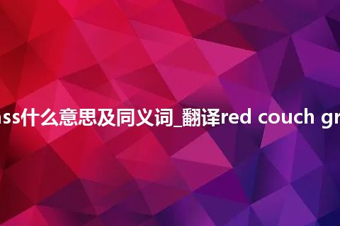 red couch grass什么意思及同义词_翻译red couch grass的意思_用法