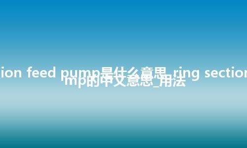 ring section feed pump是什么意思_ring section feed pump的中文意思_用法