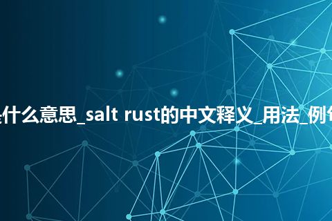 salt rust是什么意思_salt rust的中文释义_用法_例句_英语短语