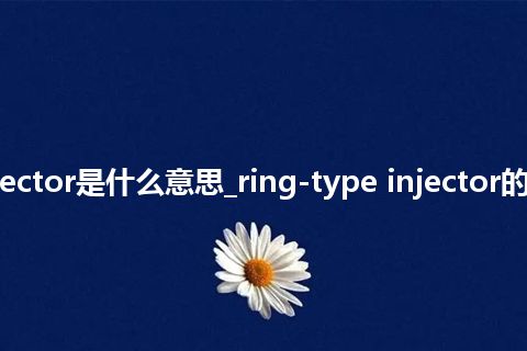 ring-type injector是什么意思_ring-type injector的中文释义_用法