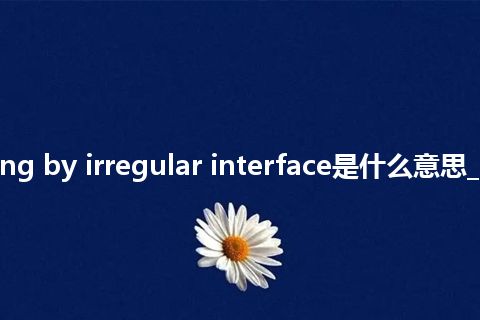 scattering by irregular interface是什么意思_中文意思