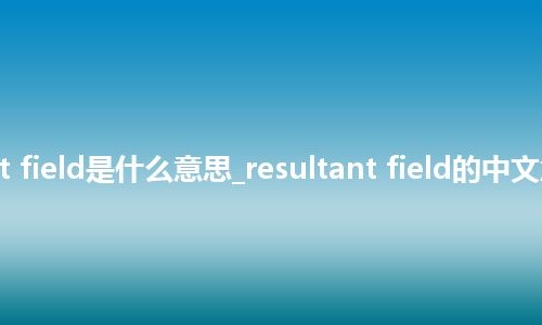resultant field是什么意思_resultant field的中文意思_用法