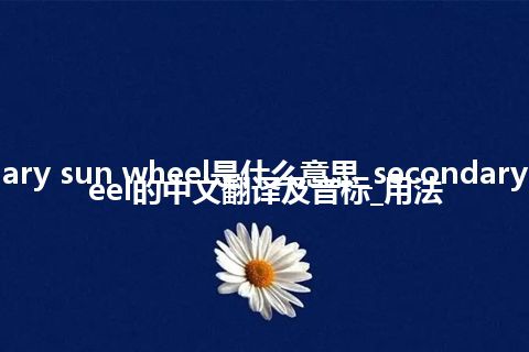 secondary sun wheel是什么意思_secondary sun wheel的中文翻译及音标_用法
