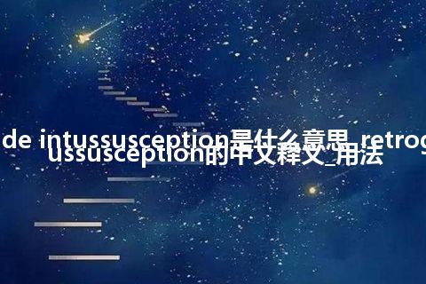 retrograde intussusception是什么意思_retrograde intussusception的中文释义_用法