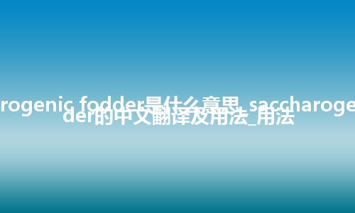 saccharogenic fodder是什么意思_saccharogenic fodder的中文翻译及用法_用法