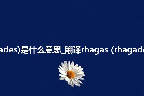 rhagas (rhagades)是什么意思_翻译rhagas (rhagades)的意思_用法