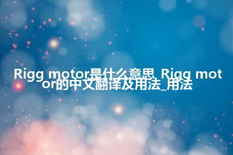 Rigg motor是什么意思_Rigg motor的中文翻译及用法_用法