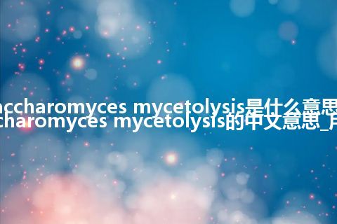 Saccharomyces mycetolysis是什么意思_Saccharomyces mycetolysis的中文意思_用法